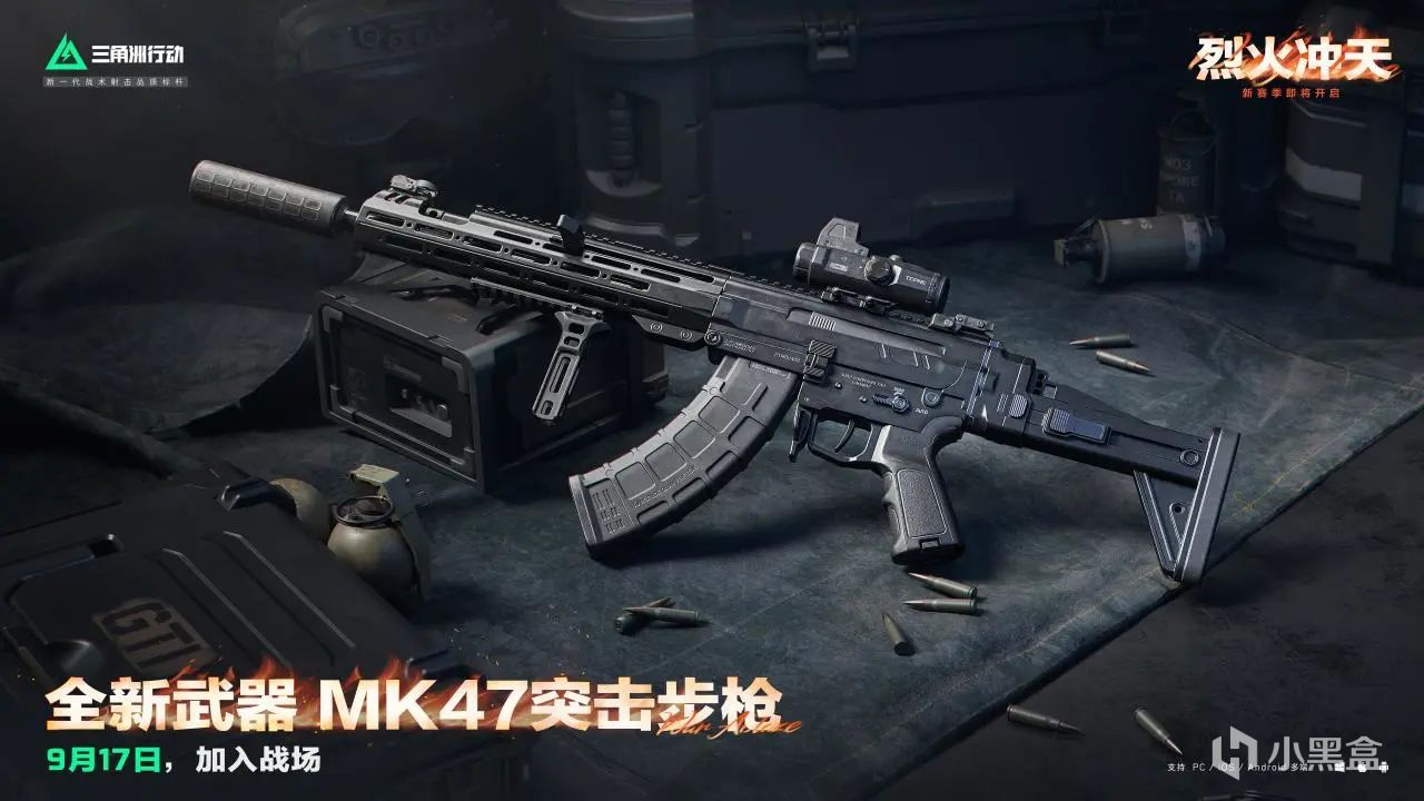 新区域, amp, entit