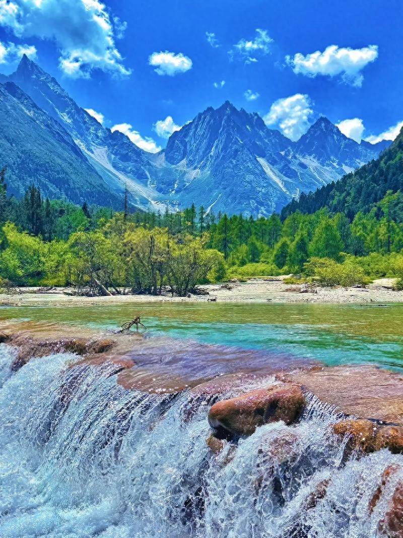 塞尔比的较 塞尔比的较